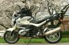 Filename=3-25-09_Spring_And_Bike_007+sm.jpg
Filesize=234KiB
Dimensions=1500x1001
Date added=Mar 25, 2009 3-25-09_Spring_And_Bike_007+sm.jpg